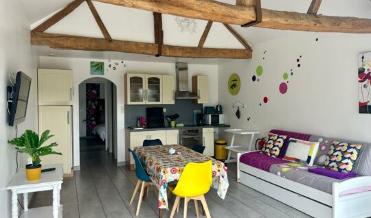 Le salon/ salle à manger/ cuisine du Petit Gîte 